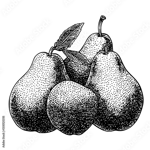 Collection of ripe pears arranged artistically with realistic detailing showcasing their natural beauty and texture