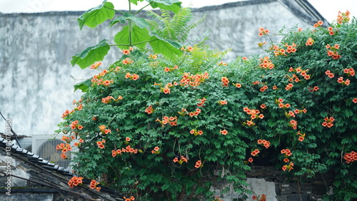 The classical Chinese garden buildings view in Suzhou of the China
