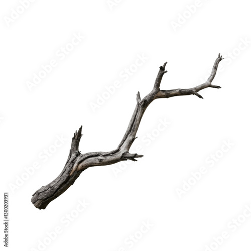 dead tree 