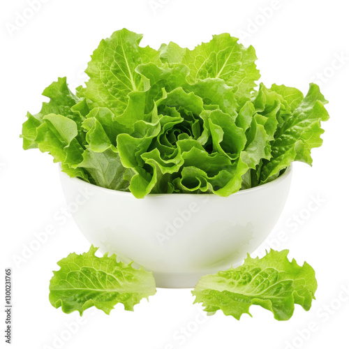 fresh green salad