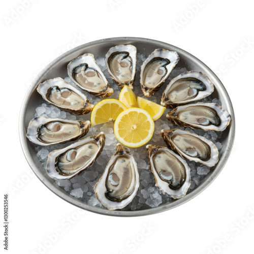 fresh oysters on a plate