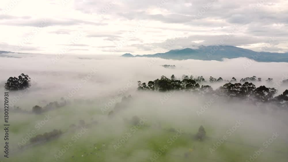 Drone shot moving from left to right, showcasing a misty landscape in Machachi, Pichincha Province, Ecuador. Lush greenery and distant mountains fade into the fog. Drone shot moving from left to right, showcasing a misty landscape in Machachi, Pichincha Province, Ecuador. Lush greenery and distant mountains fade into the fog.