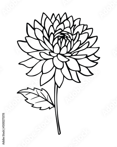 vector illustration of a Bee Balm flower