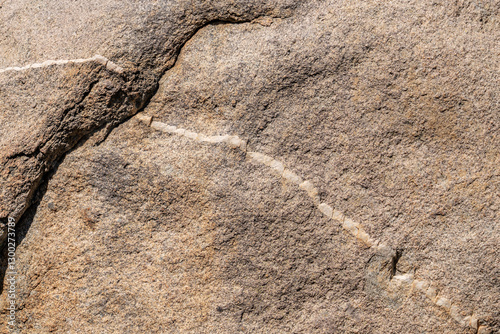 Fototapete Woodson Mountain Granodiorite (Cretaceous) / igneous rock