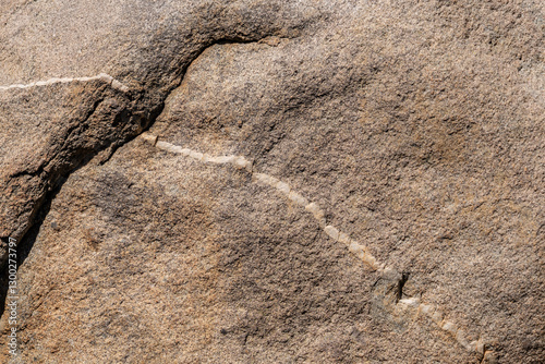 Foto Woodson Mountain Granodiorite (Cretaceous) / igneous rock