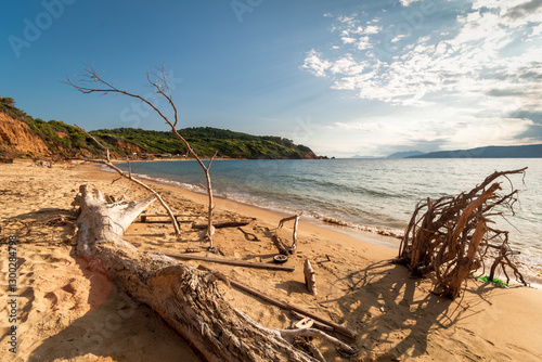 Fototapeta Naklejka Na Ścianę i Meble -  Skiatos, in the Sporades Islands. Mandraki beach.