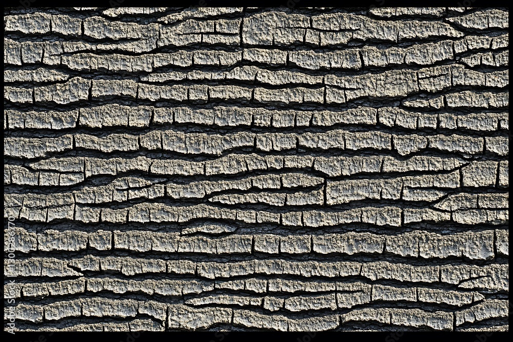Intricate patterns and textures of old tree bark background detail Intricate patterns and textures of old tree bark background detail