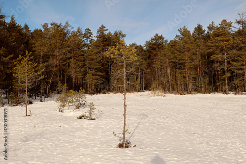 Photography Winter