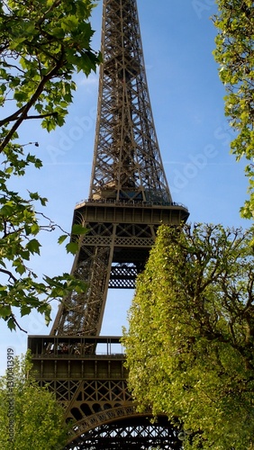 Travelers admire the iconic Eiffel Tower framed by lush trees under a clear blue sky, capturing the essence of adventure and exploration in Paris