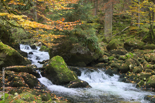 Mossy stones and river in dark forest