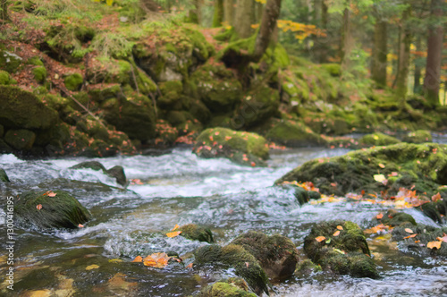 Mossy stones and river in dark forest