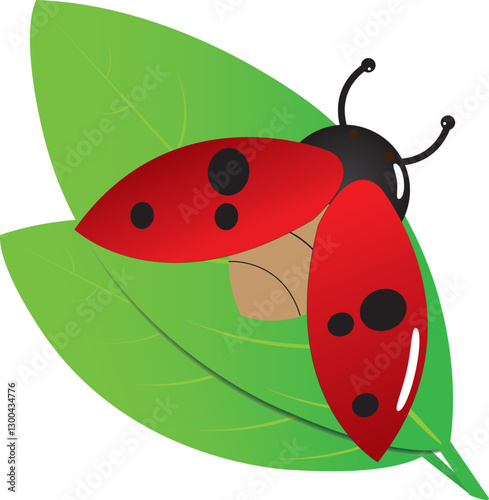 A ladybug flies to a leaf.