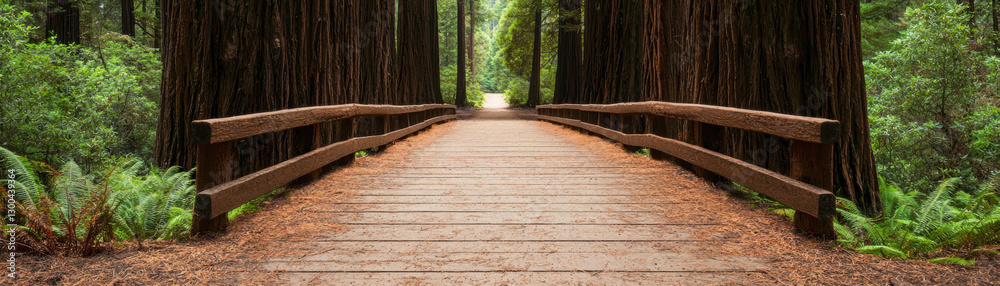 Obraz premium Inner Peace, Mental Health concept. Wooden bridge through a lush forest of towering trees and greenery.