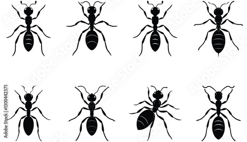 Ant vector shilhouette bundle set icon.