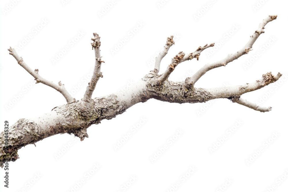 A bird sits peacefully on a branch of a tree, enjoying the surroundings A bird sits peacefully on a branch of a tree, enjoying the surroundings