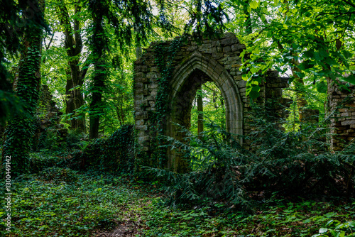 Photography Ruins in the forest