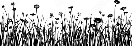 Minimalist meadow landscape with wildflowers elegant vector outline.