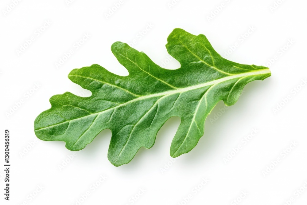 Fresh green arugula leaf on a neutral background Fresh green arugula leaf on a neutral background