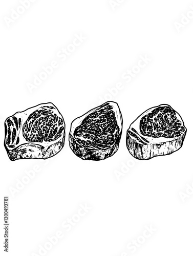 Detailed vector engraved illustration of assorted cuts of steak showcasing marbling and texture