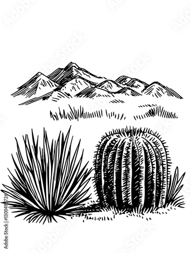 Engraved illustration of desert landscape featuring mountains, cacti, and grass at twilight