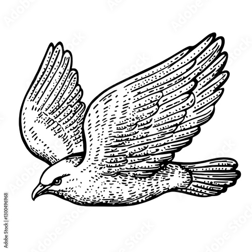 Vector engraved illustration of a detailed flying bird with extended wings in a natural pose