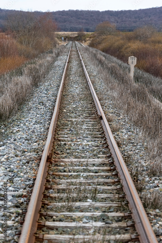 Fototapeta premium railway in the countryside