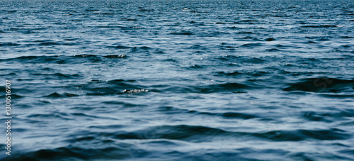 Oceanic Serenity: The endless expanse of a vast ocean, with gentle waves shimmering under the sunlight, offers a sense of peace and boundless beauty.