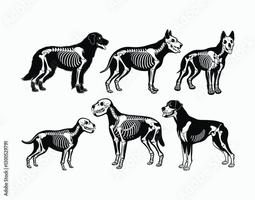 Dog Skeleton Silhouette Collection EPS Vector Template Illustration