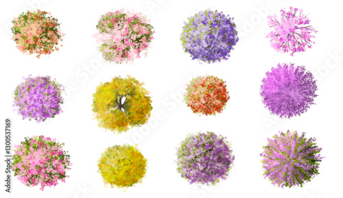 Vector watercolor blooming flower tree or forest top view isolated on white background for landscape plan and architecture drawing,plant for environment or garden,botanical element for exterior layout