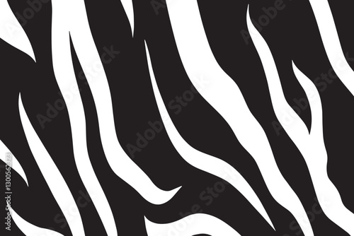 Zebra skin background vector. Animal fur, vector background for Fabric design, wrapping paper, textile, and wallpaper	