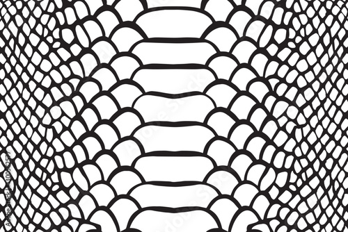 Snake scale texture vector illustration