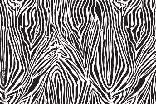 Tiger skin texture black and white	