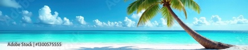 Single palm tree leans over pristine white sand beach, turquoise ocean backdrop, element, high resolution
