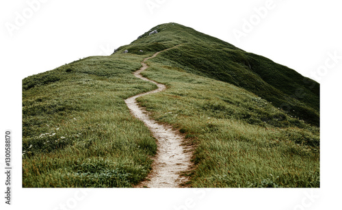 Winding path through lush green hills in a serene nature setting for outdoor adventure and exploration, cut out