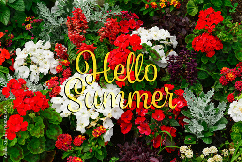 View of beautiful flowers i...