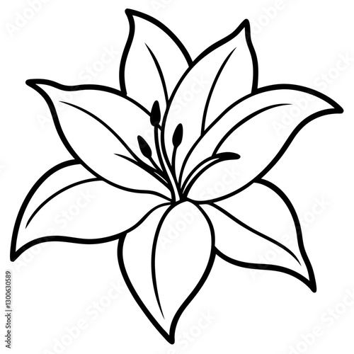 lirs flower vector white background