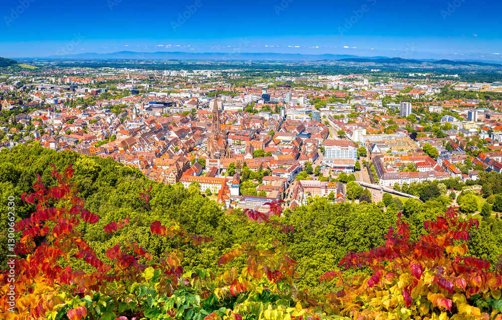 Freiburg im Breisgau city and landscape panoramic view from above