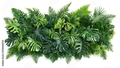 Artificial plants decorative panel isolated on white, collection