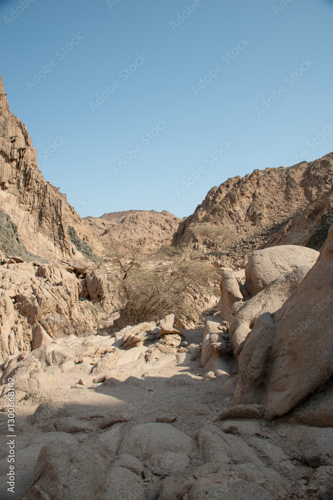 Exploring the Nabq Nature Reserve in Sharma El-Sheikh, Egypt. Exploring the Nabq Nature Reserve in Sharma El-Sheikh, Egypt.