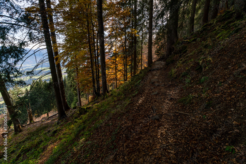 Rangiswanger Horn Hiking Trail in Autumn with Scenic View of Allgau Alps Rangiswanger Horn Hiking Trail in Autumn with Scenic View of Allgau Alps