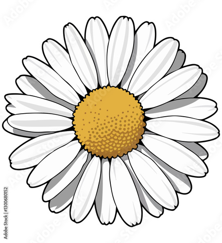 daisy