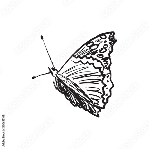 Speckled wood butterfly insect drawing in black brush stroke texture isolated on white background. Hand drawn vector sketch illustration in vintage charcoal ink. Springtime symbol, lightness, flying
