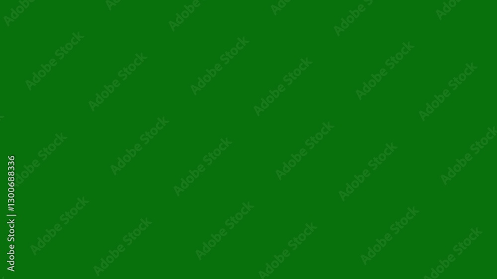 Pop-Up Line Firework Animation, Dynamic Circle Burst Effect on Green Screen, 4K Animation Pop-Up Line Firework Animation, Dynamic Circle Burst Effect on Green Screen, 4K Animation