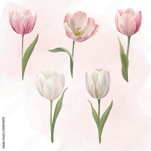 Wallpaper Mural Spring realistic tulips White and pink flowers Seasonal plants painting Torontodigital.ca