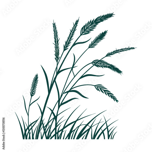 Grass and Wheat Plant Illustration – Agricultural and Botanical Study
