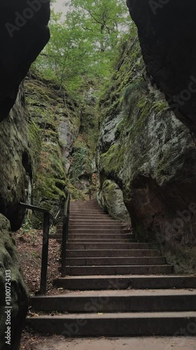 Staircase leading into lush rock formations in a green forested area during daylight hours