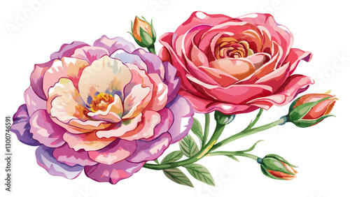 Lisianthus Flowers Watercolor Illustration on White or Transparent Background. Perfect for: Weddings, Romantic Occasions, Anniversary Celebrations
