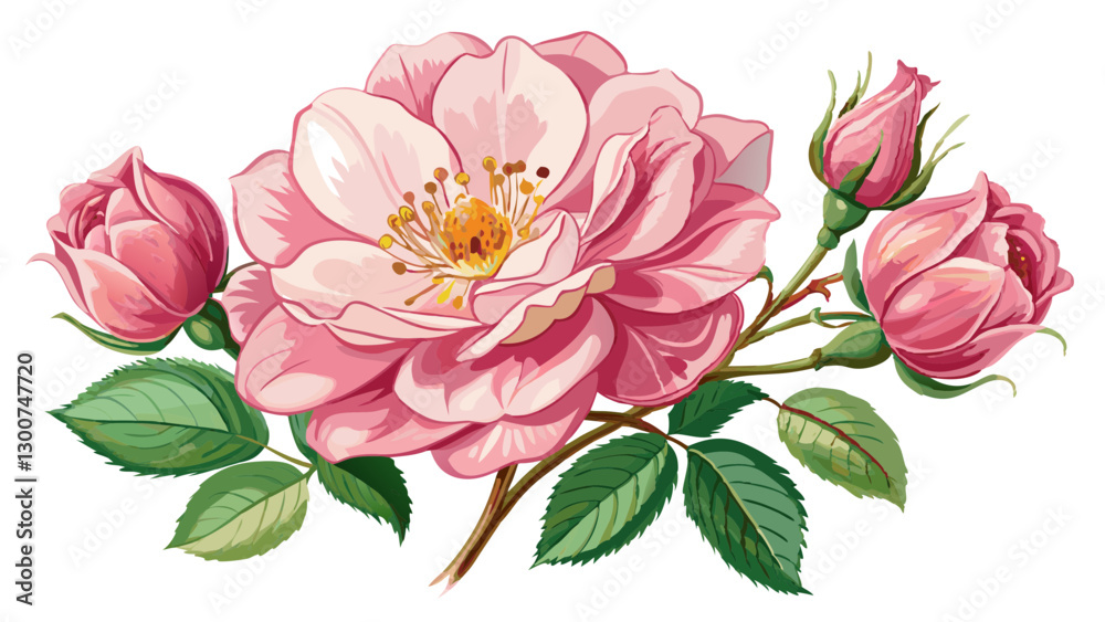Fototapeta premium Rosa Bracteata Flowers Watercolor Illustration on White or Transparent Background. Perfect for: Weddings, Garden Parties, Valentine’s Day