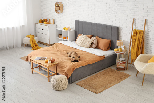 Cute French bulldog lying o...
