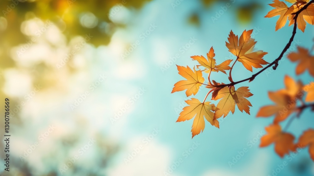 maple leaves with branch and sky background maple leaves with branch and sky background